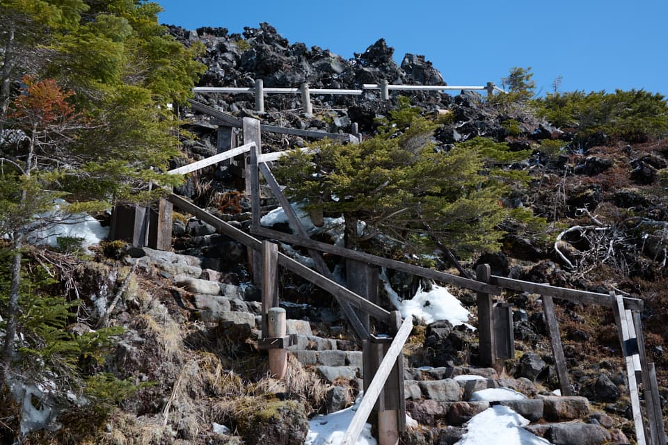 坪庭からの階段