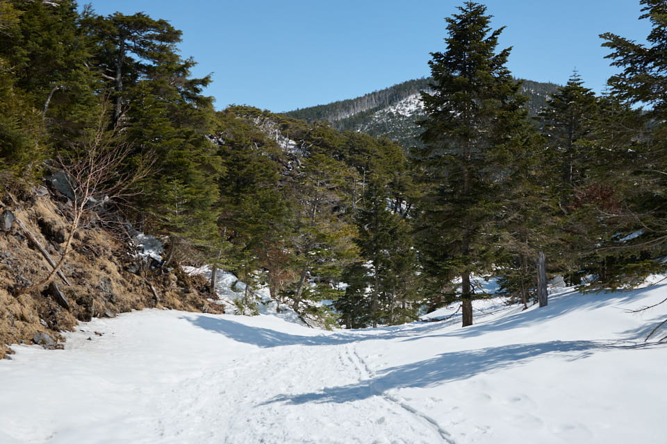 縞枯山荘までの雪道