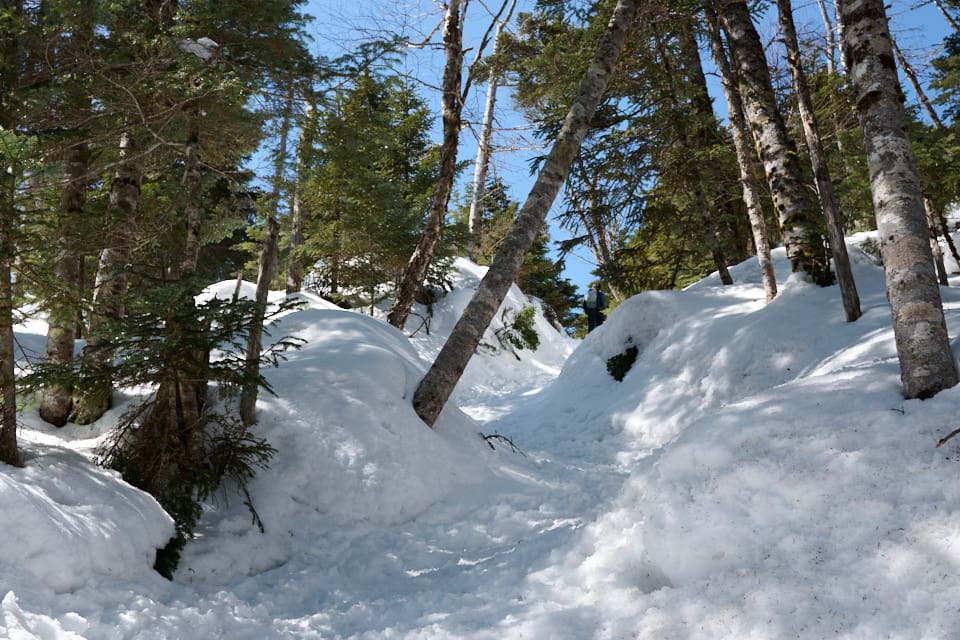 縞枯山頂手前の登り。