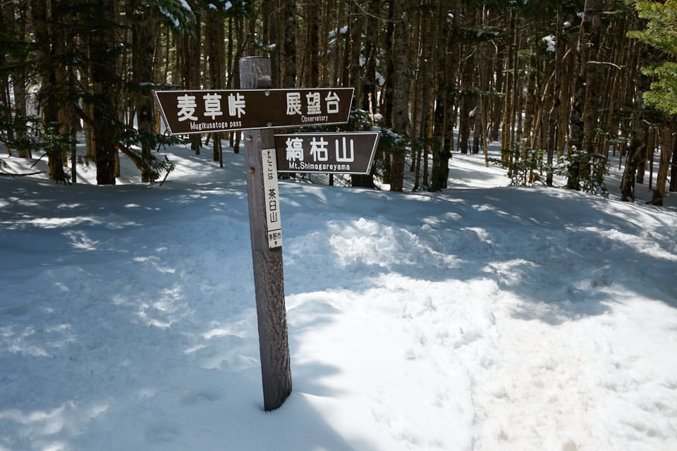 茶臼山の山頂