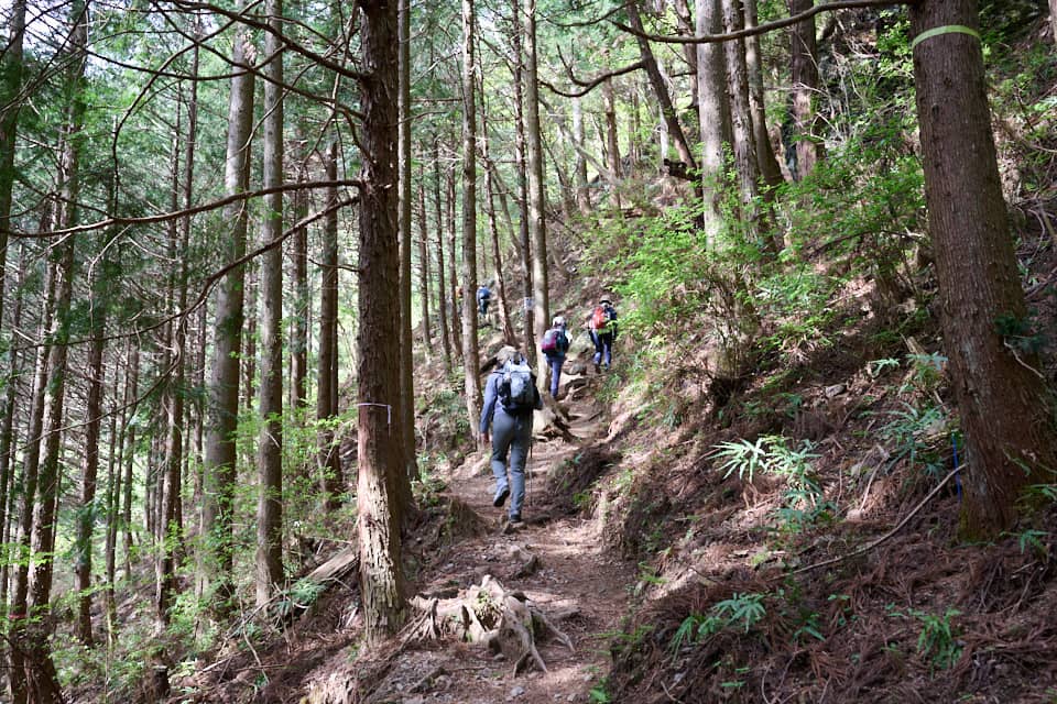 白谷沢からの登山道