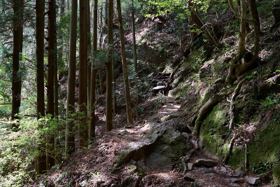 基本的には歩きやすい登山道