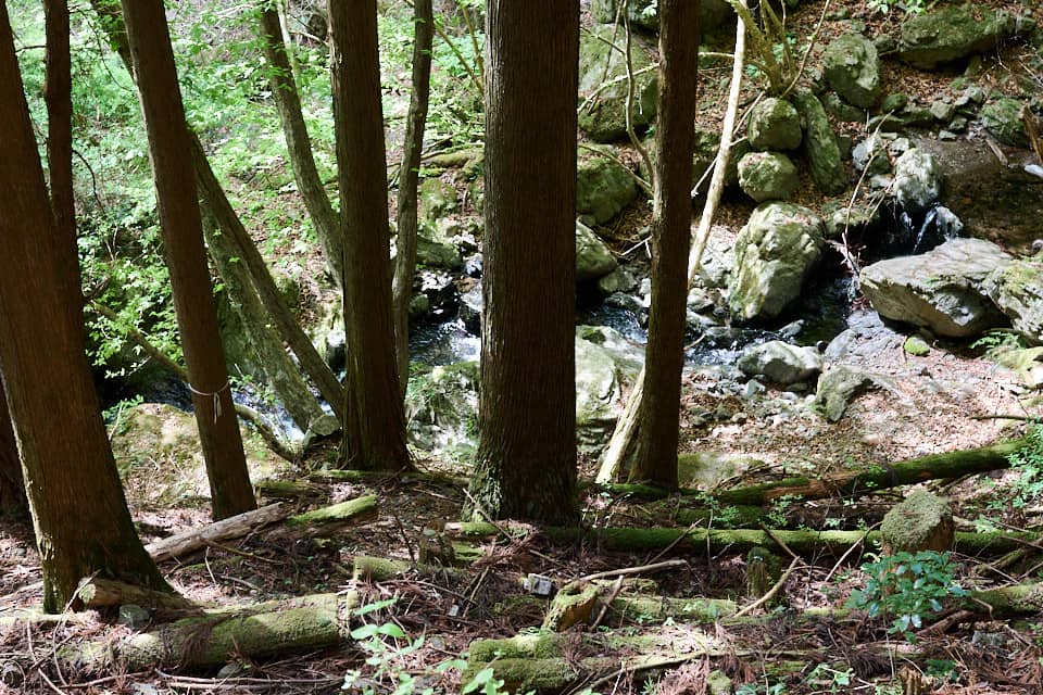 沢を見下ろしてみたところ