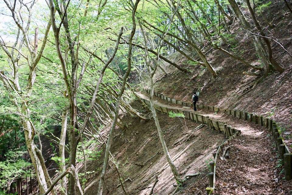 登りきって並行移動。