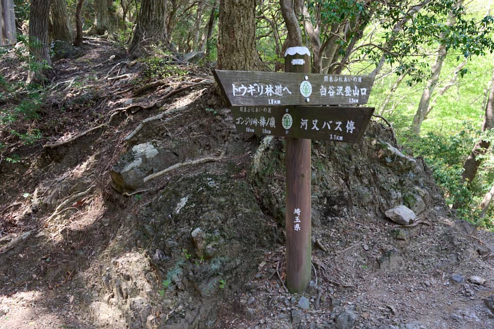 岩茸石の分岐