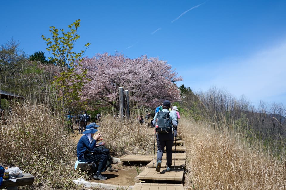 棒ノ折山の山頂に到着