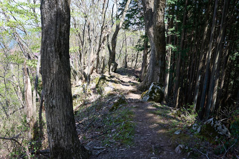 北東尾根の様子