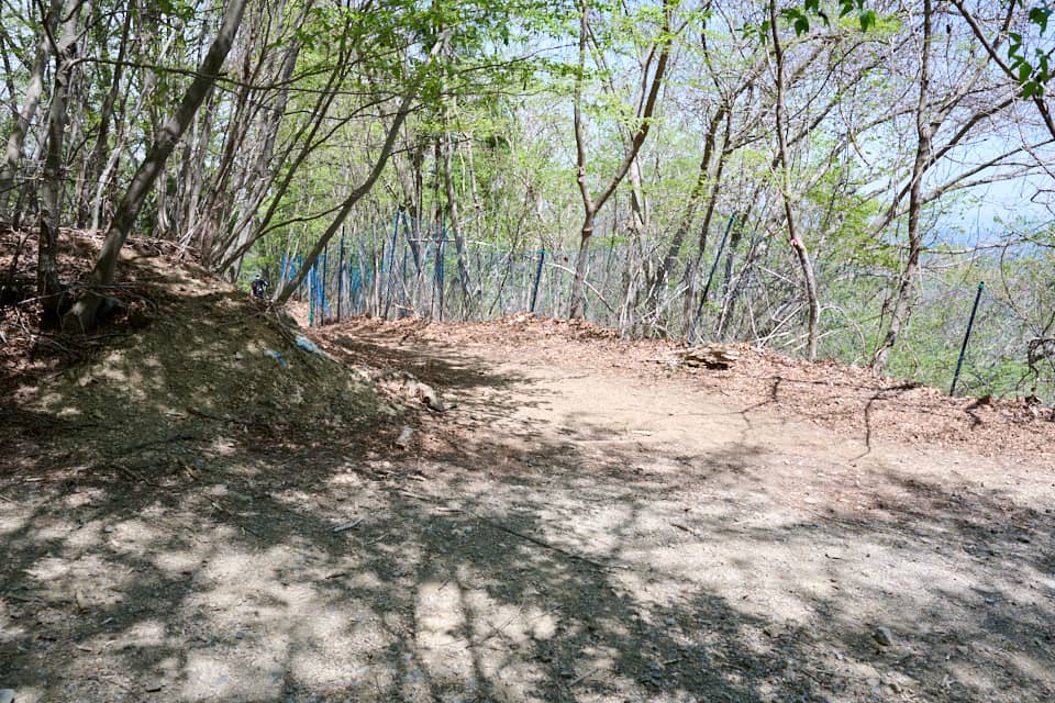 林道を横切った先にはそのまま登山道が続きます