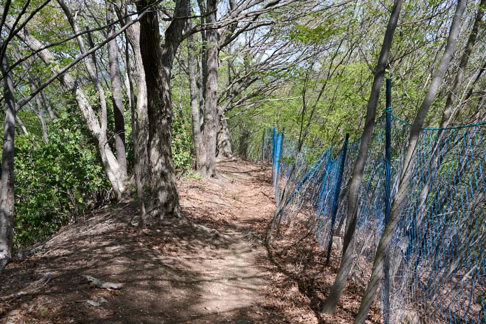 林道を過ぎた先の登山道