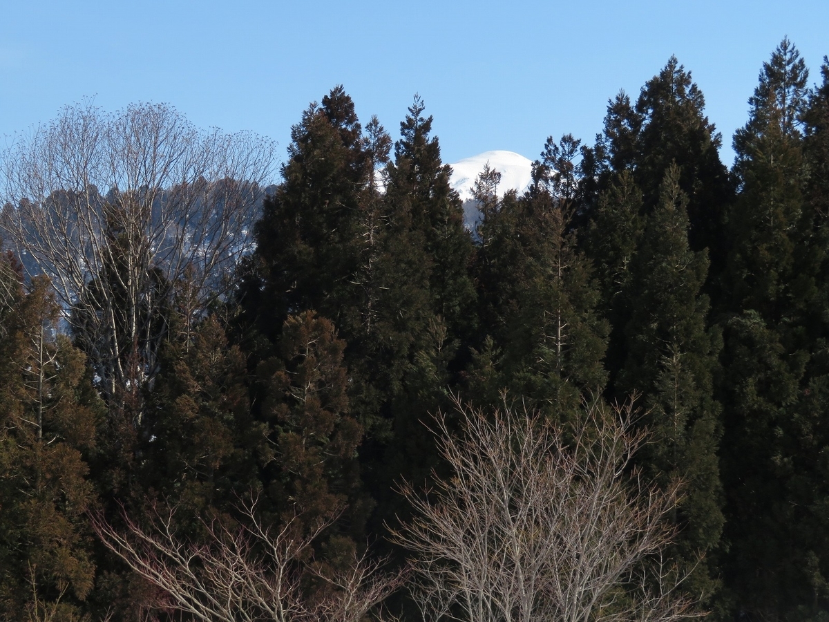 f:id:snowwave555:20211017085600j:plain