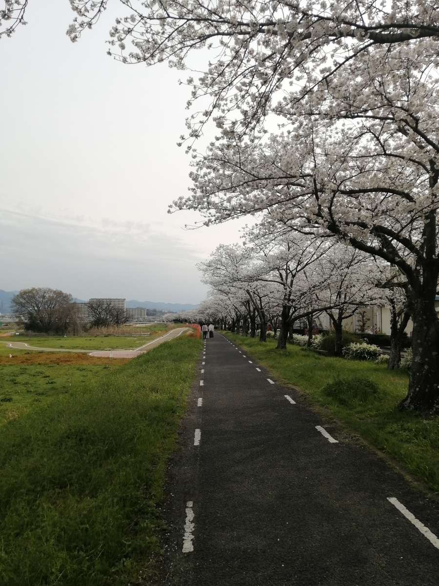 f:id:snowwinds:20220403175401j:plain
