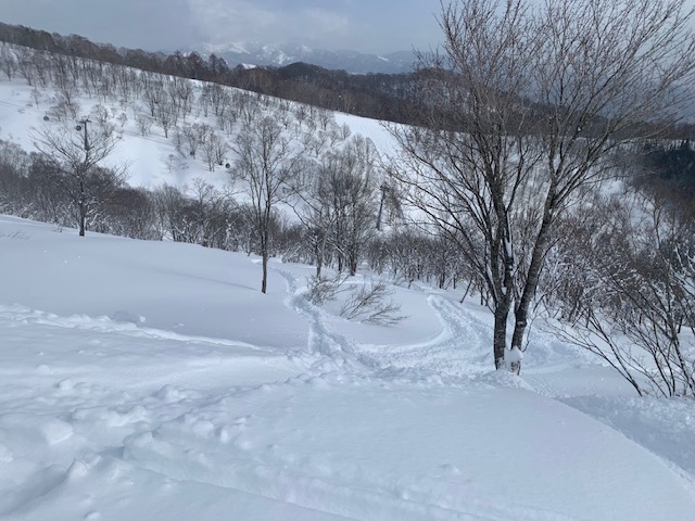 f:id:snowx:20210206065141j:plain