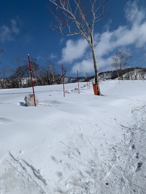 f:id:snowx:20210321083058j:plain