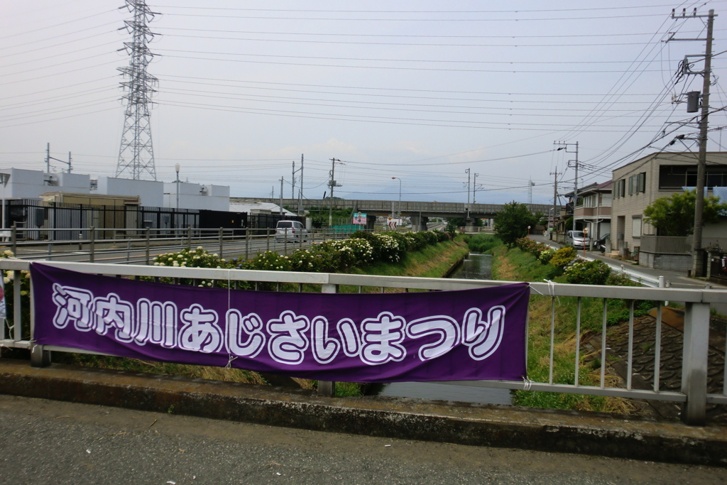 f:id:snposc:20151222151633j:plain