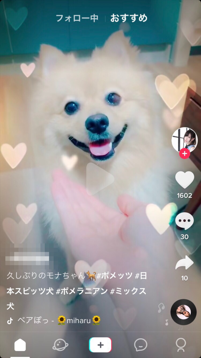 f:id:sns_community:20190720162539p:plain