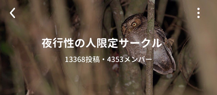 f:id:sns_community:20190721101840j:plain