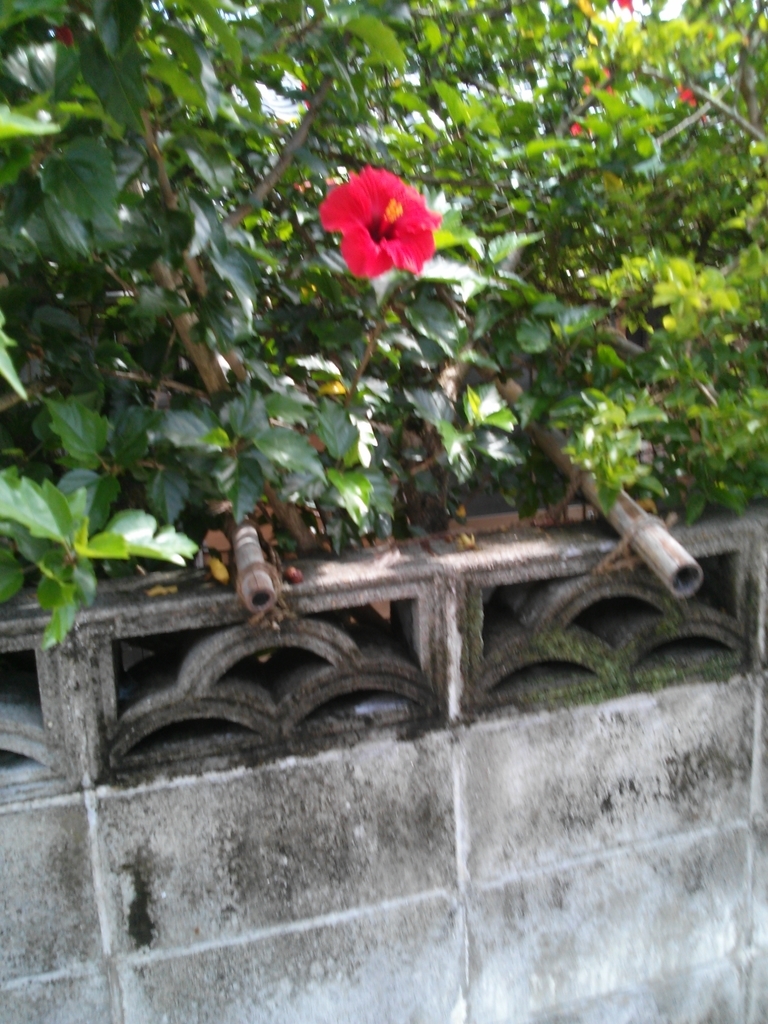 f:id:snsti:20180919203643j:plain