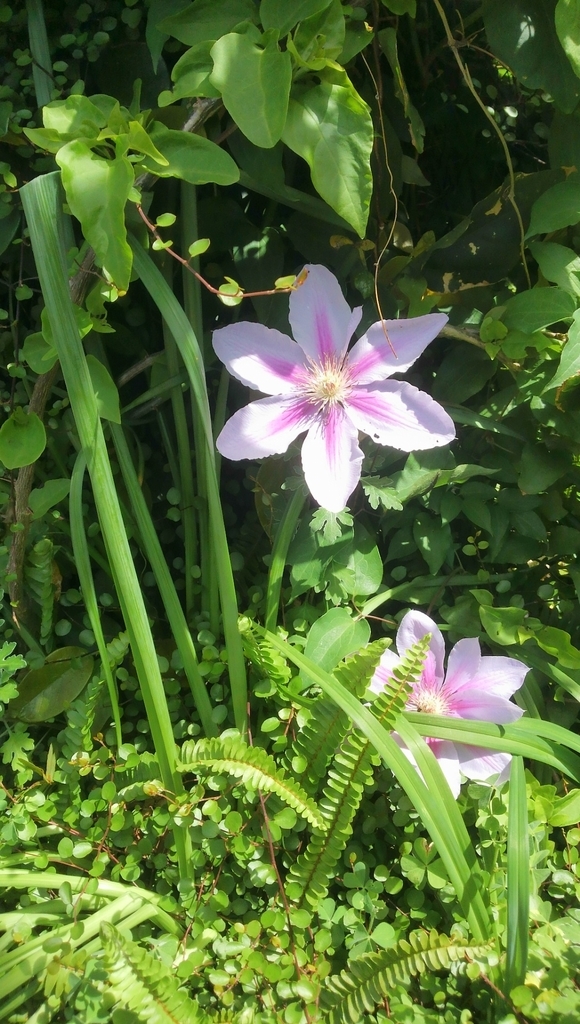 f:id:snsti:20180923231913j:plain