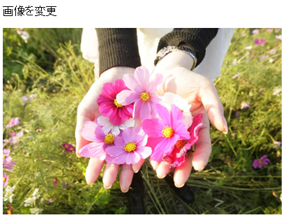 f:id:sntkk3:20140526172254p:image f:id:sntkk3:20140526172254p:image