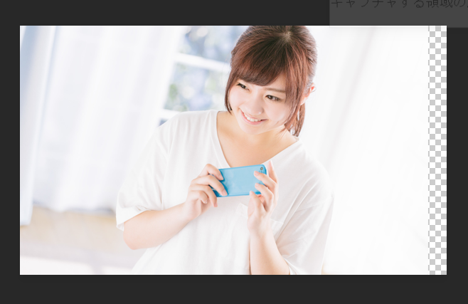 f:id:sntkk3:20170402115749p:plain f:id:sntkk3:20170402115749p:plain