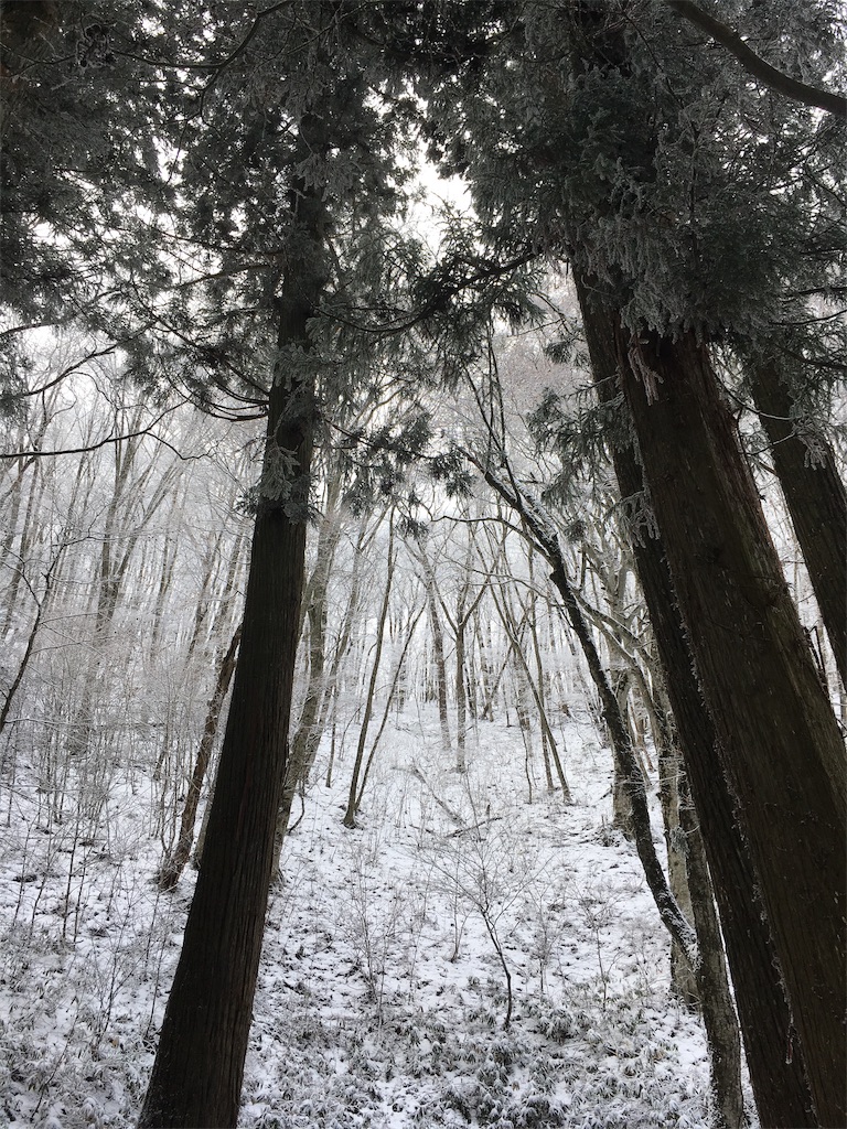 f:id:sntkmn:20181228002152j:image