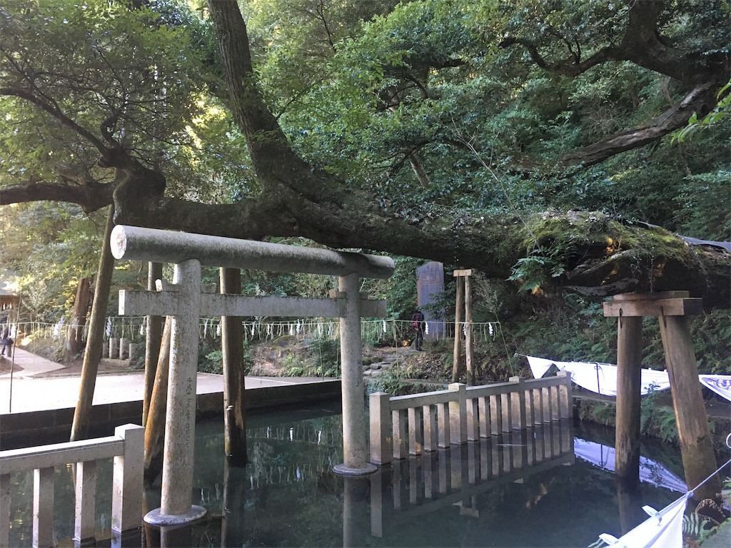 f:id:sntkmn:20190205010729j:image