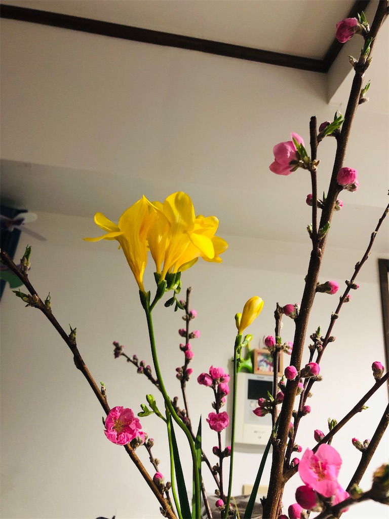 f:id:sntmtm:20200305204951j:image f:id:sntmtm:20200305204951j:image