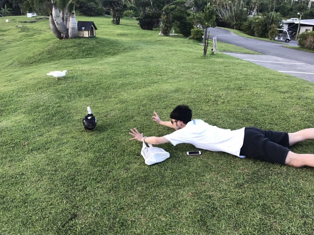 f:id:snufchan:20170620091210j:plain f:id:snufchan:20170620091210j:plain
