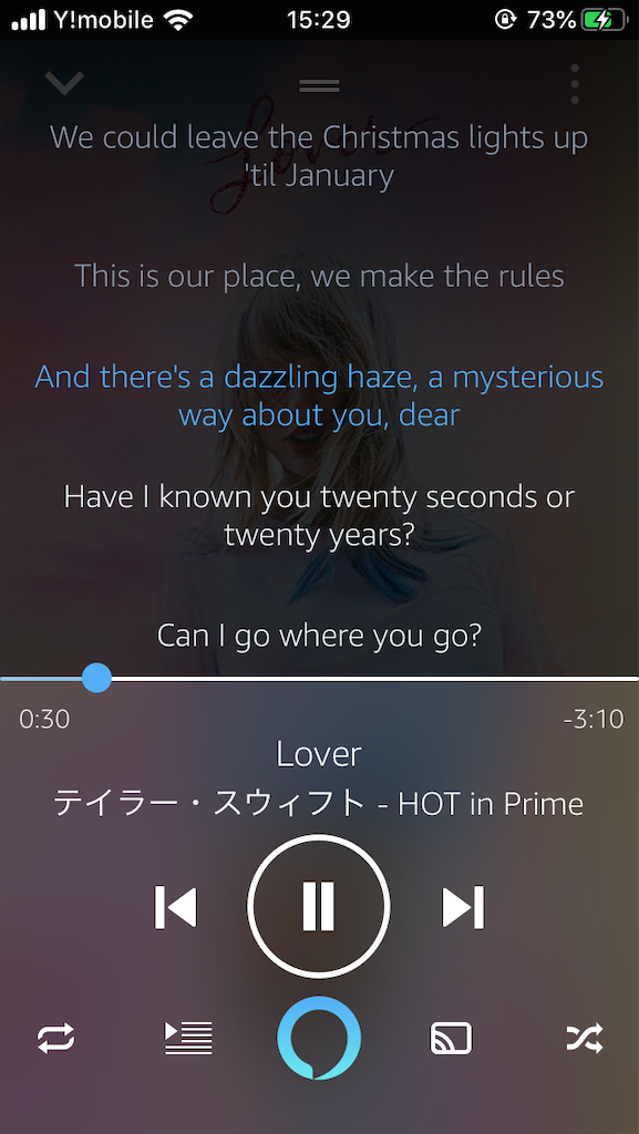 f:id:snuffy12:20191111232305p:image