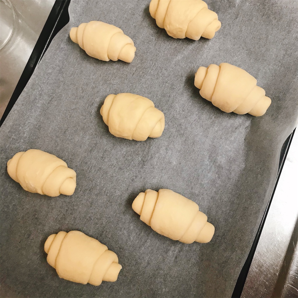 f:id:snuffy12:20210120232156j:image