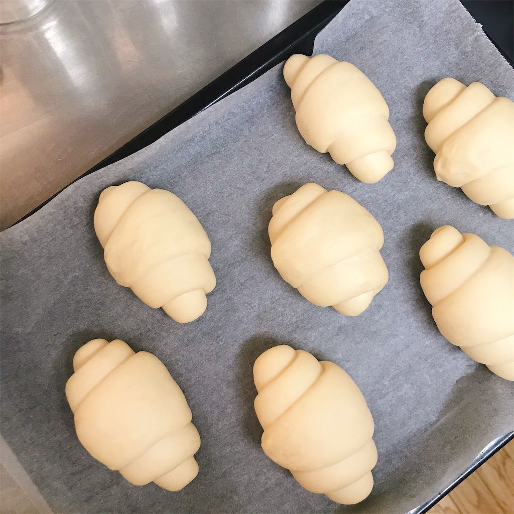 f:id:snuffy12:20210120232204j:image