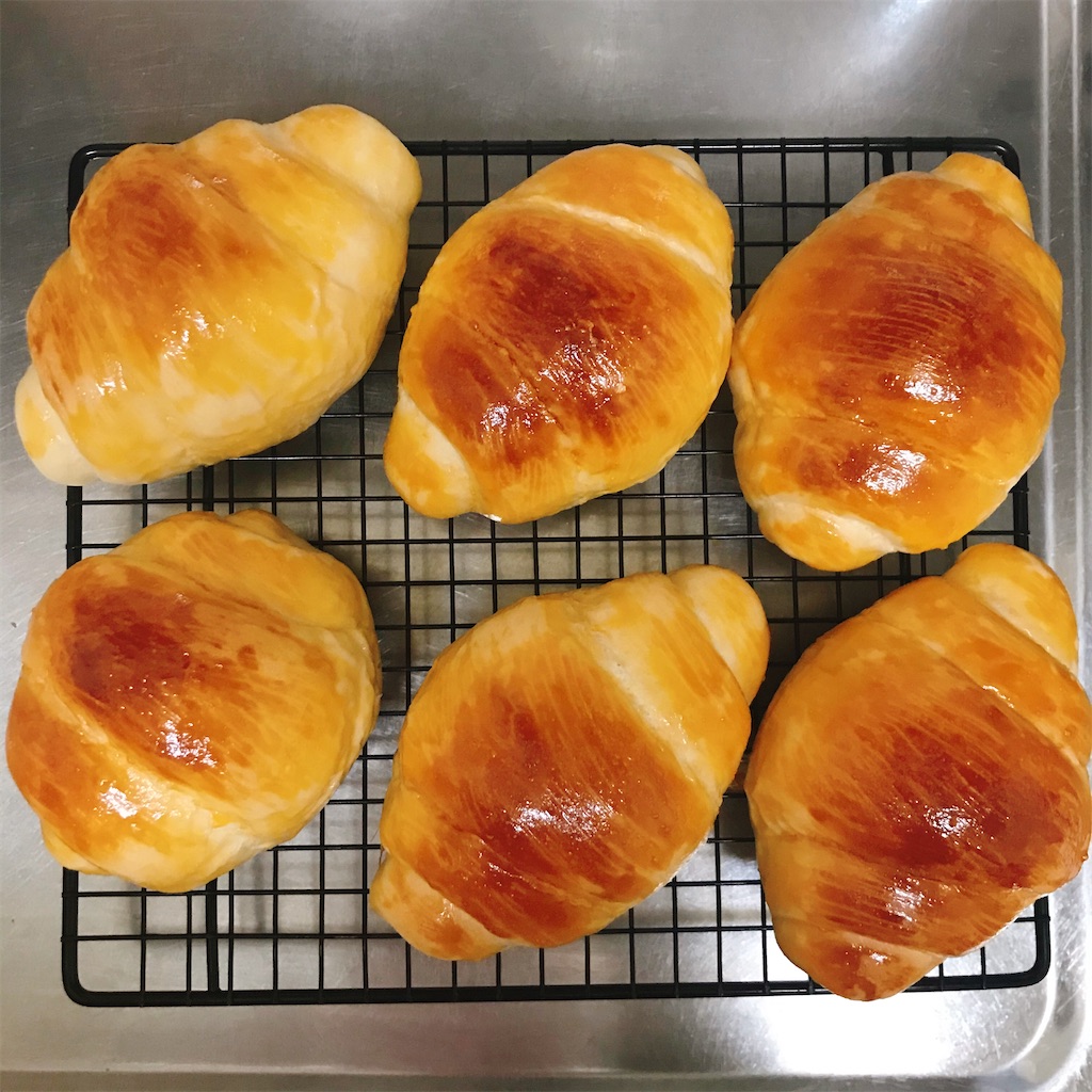 f:id:snuffy12:20210120232210j:image