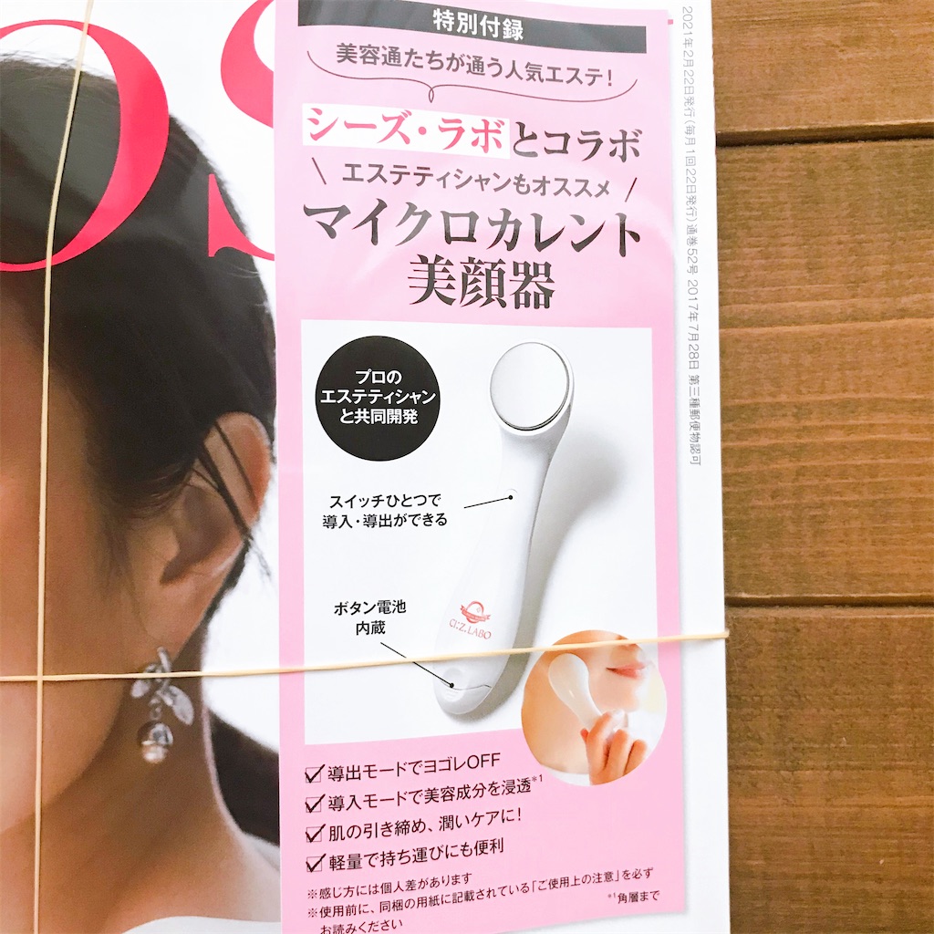 f:id:snuffy12:20210125113257j:image