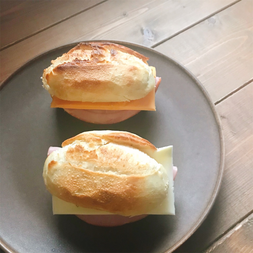 f:id:snuffy12:20210210223240j:image