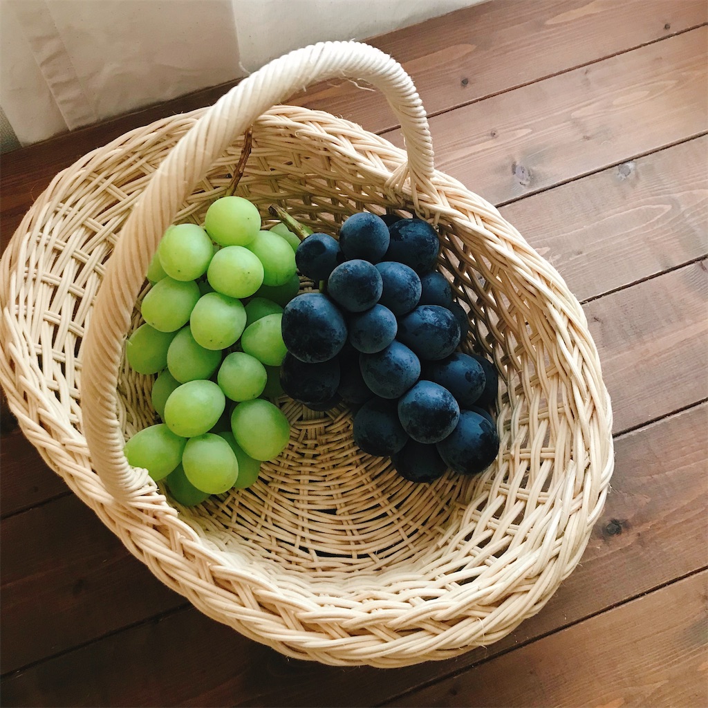 f:id:snuffy12:20210928230148j:image