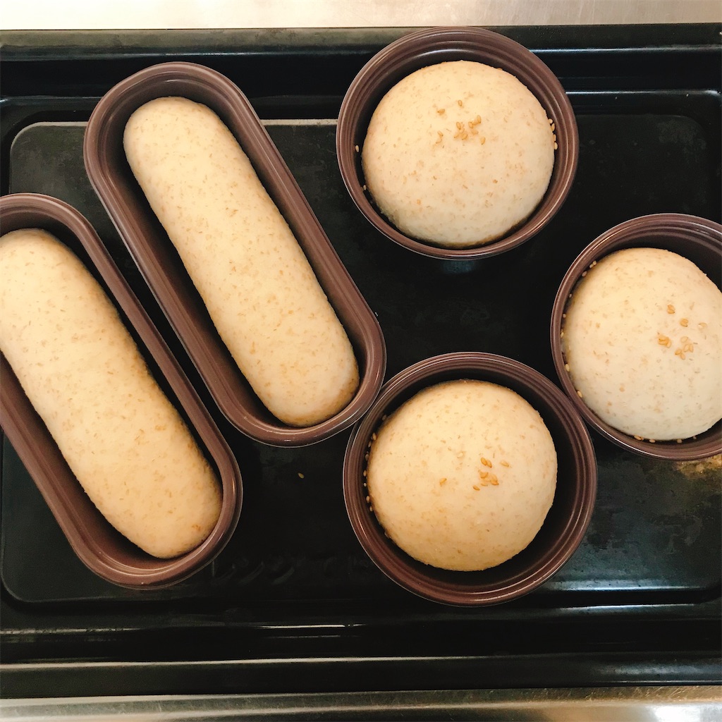 f:id:snuffy12:20211216220235j:image f:id:snuffy12:20211216220235j:image