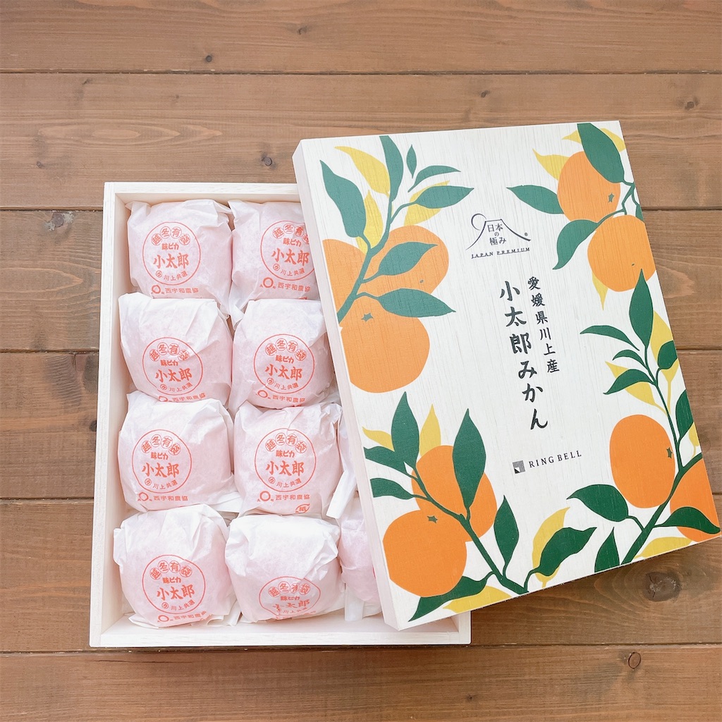 f:id:snuffy12:20240118231957j:image