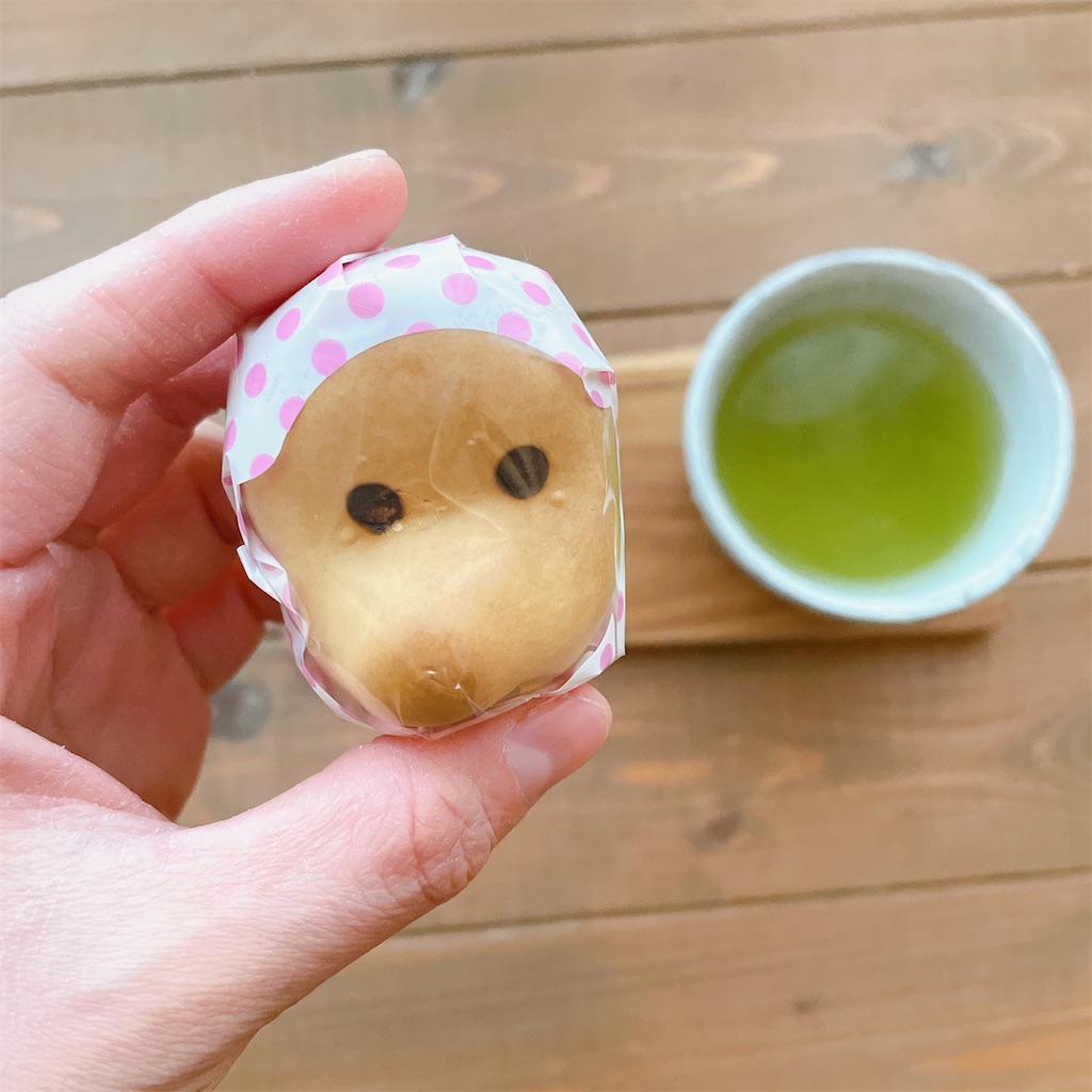 f:id:snuffy12:20240125114807j:image