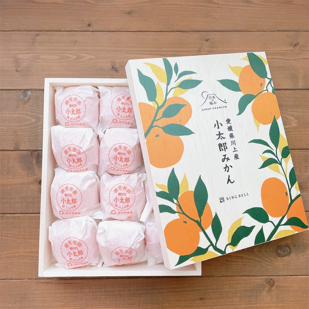 f:id:snuffy12:20241231230819j:image