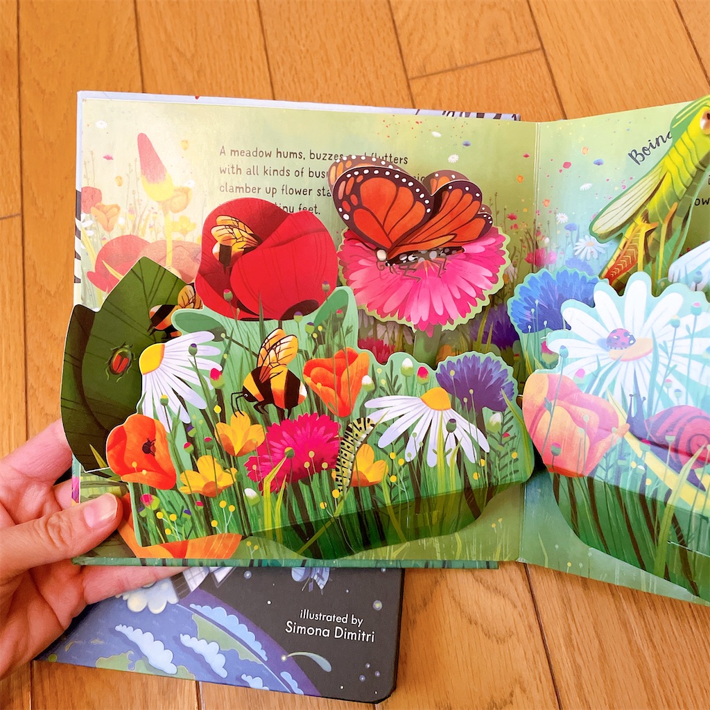 f:id:snuffy12:20250112153115j:image