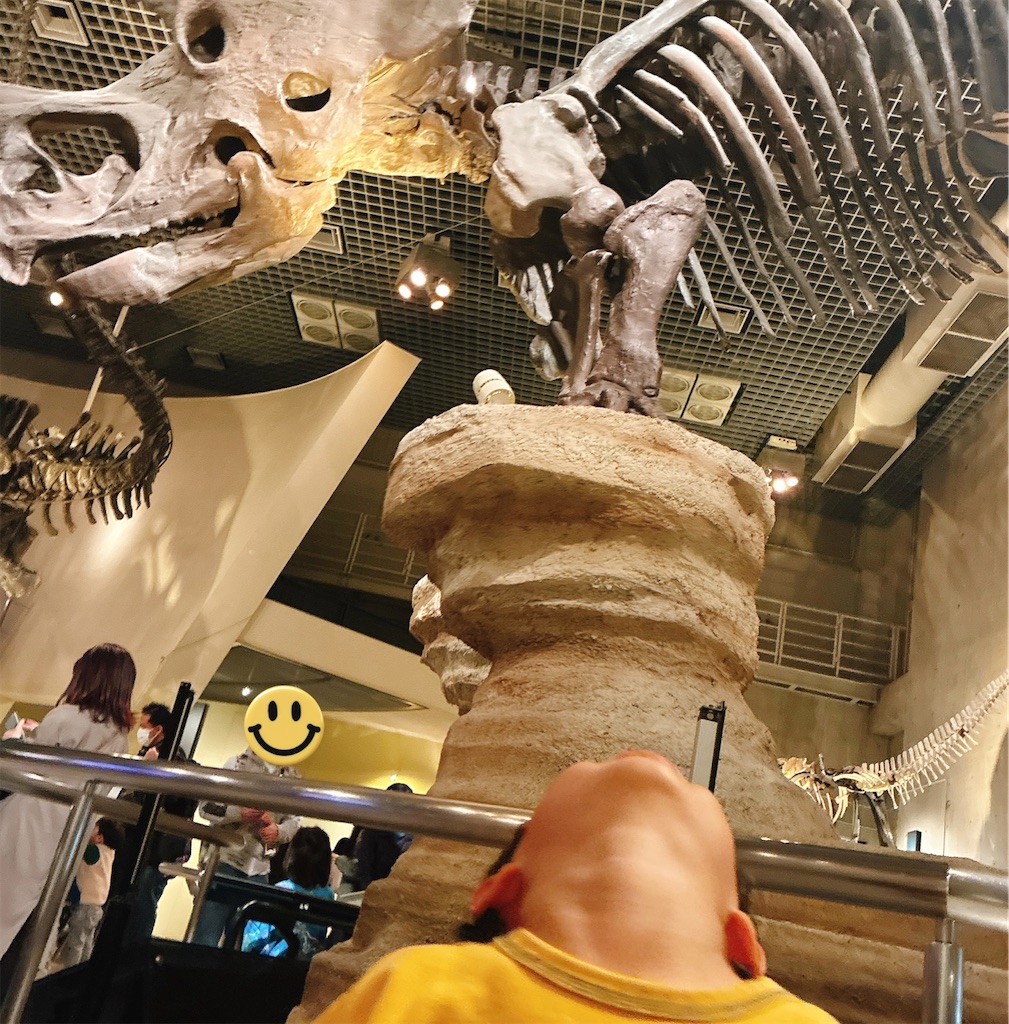 f:id:snuffy12:20251129090039j:image