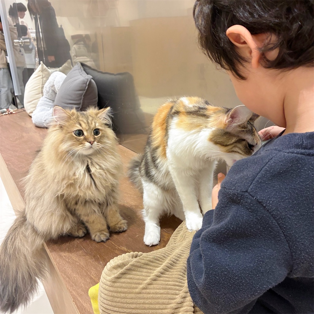 f:id:snuffy12:20260129202903j:image