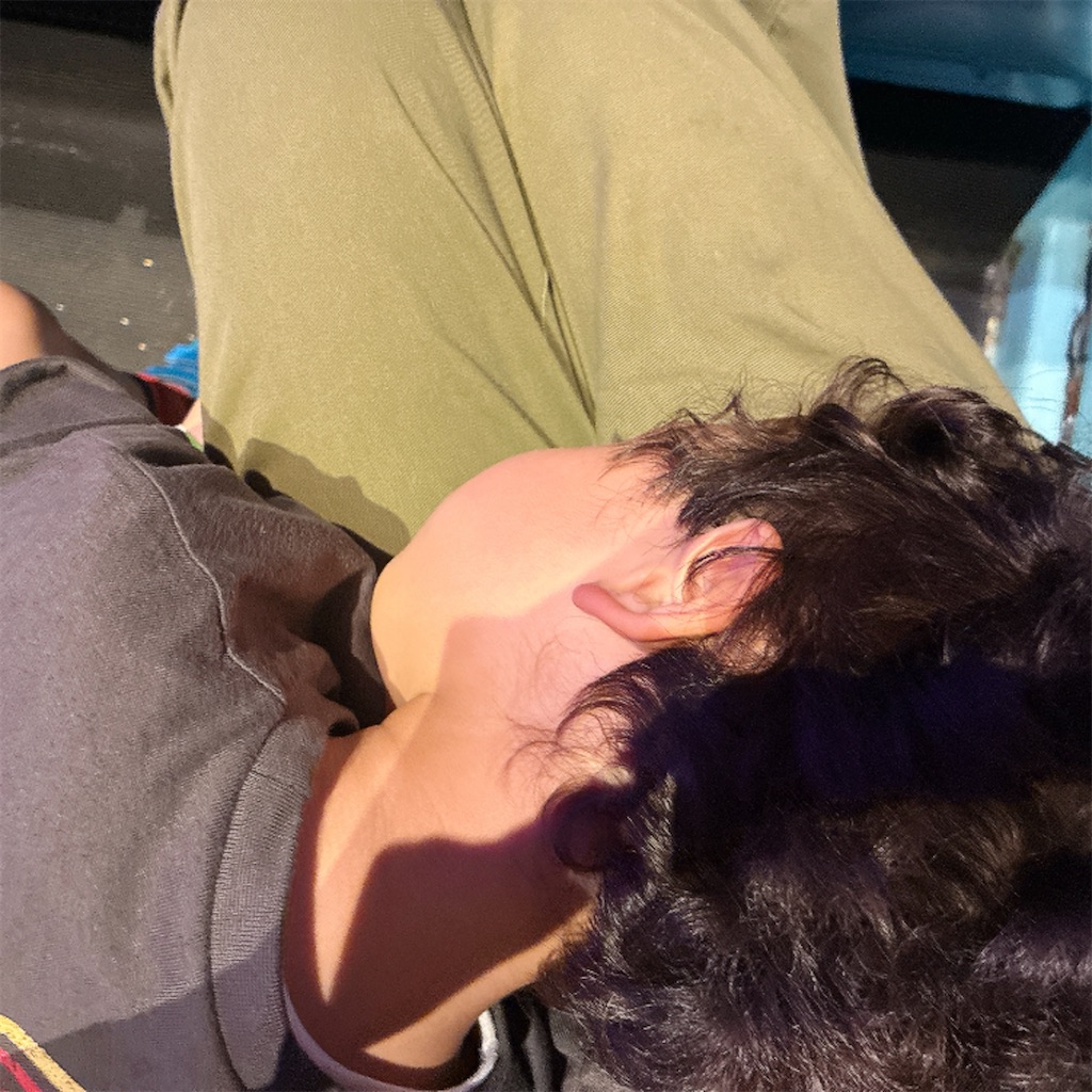 f:id:snuffy12:20260616162940j:image f:id:snuffy12:20260616162940j:image