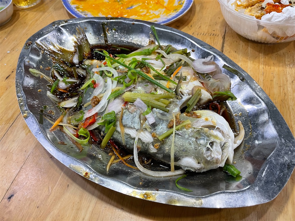 f:id:snusmumriken2016:20250912142842j:image