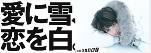 f:id:snview:20140111232807p:plain