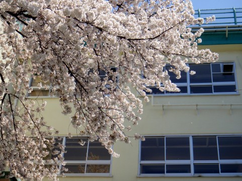 f:id:snw15:20180409021959j:plain