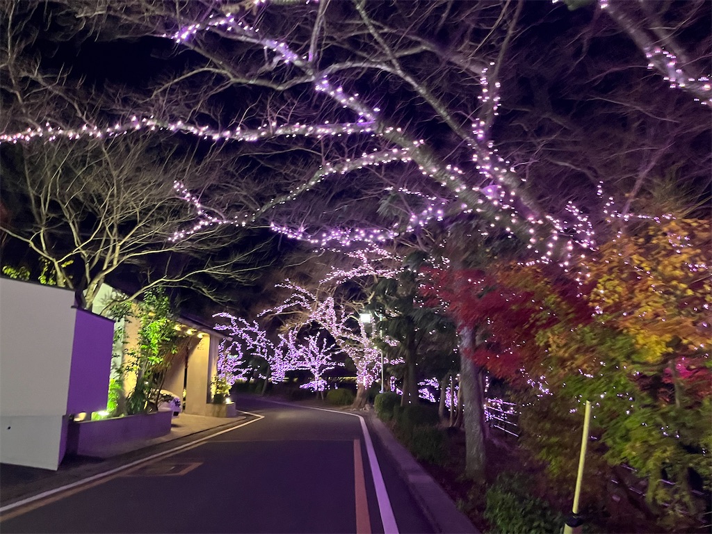 f:id:snwchkrn:20260426020125j:image