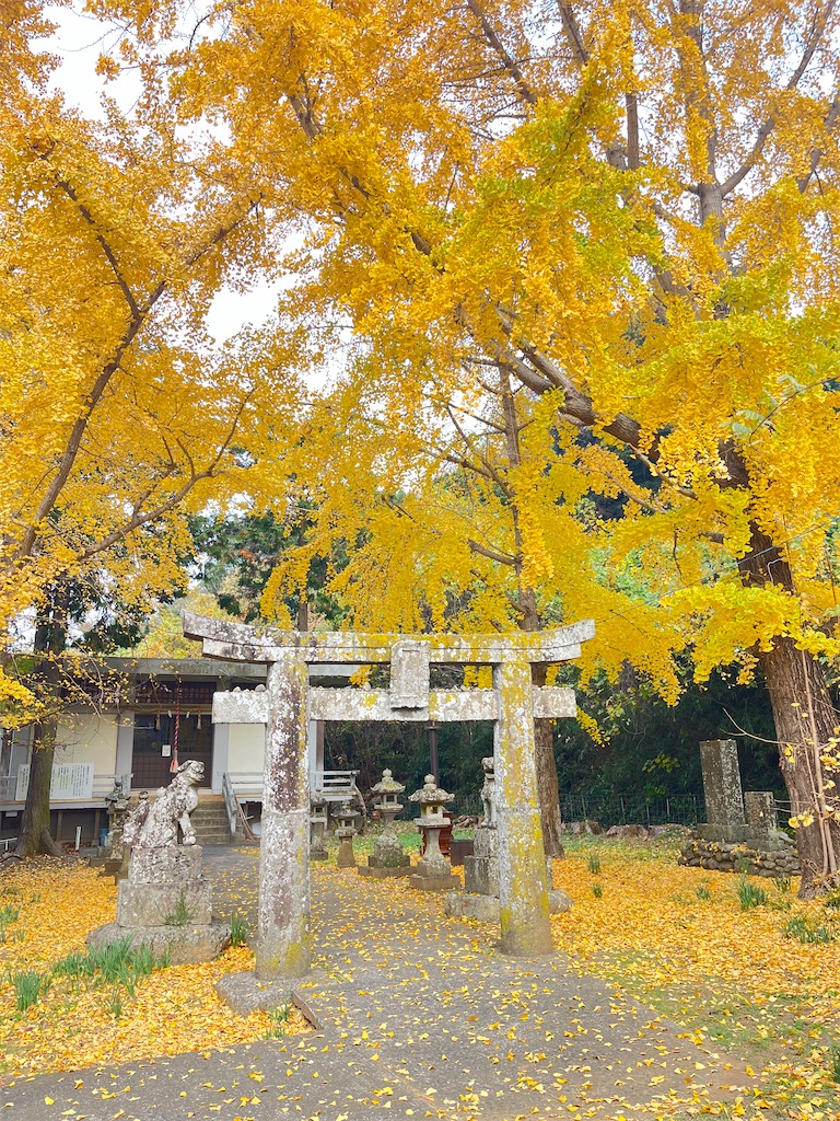f:id:snwchkrn:20260426020529j:image