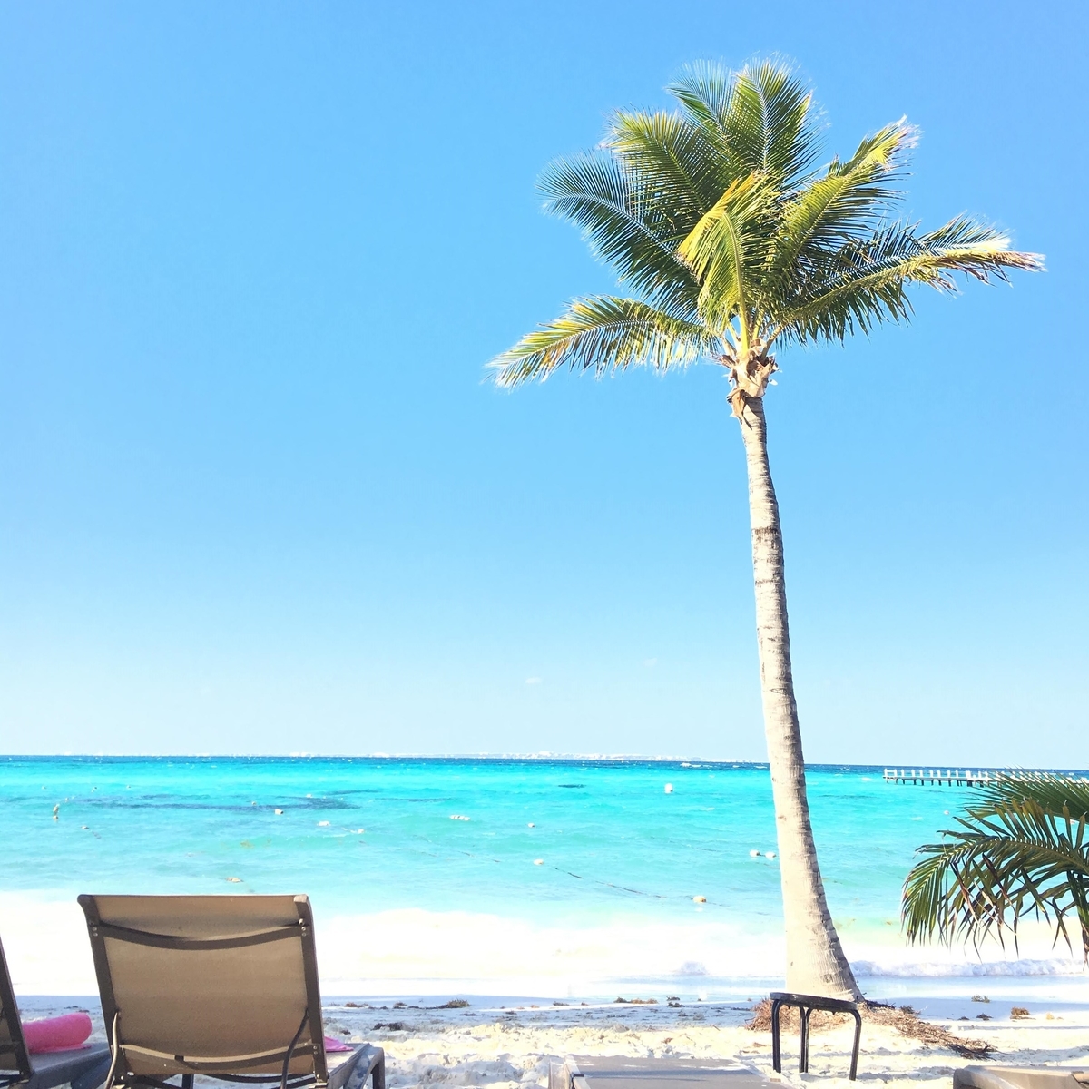 f:id:so-hapimilk556:20190507223230j:plain f:id:so-hapimilk556:20190507223230j:plain