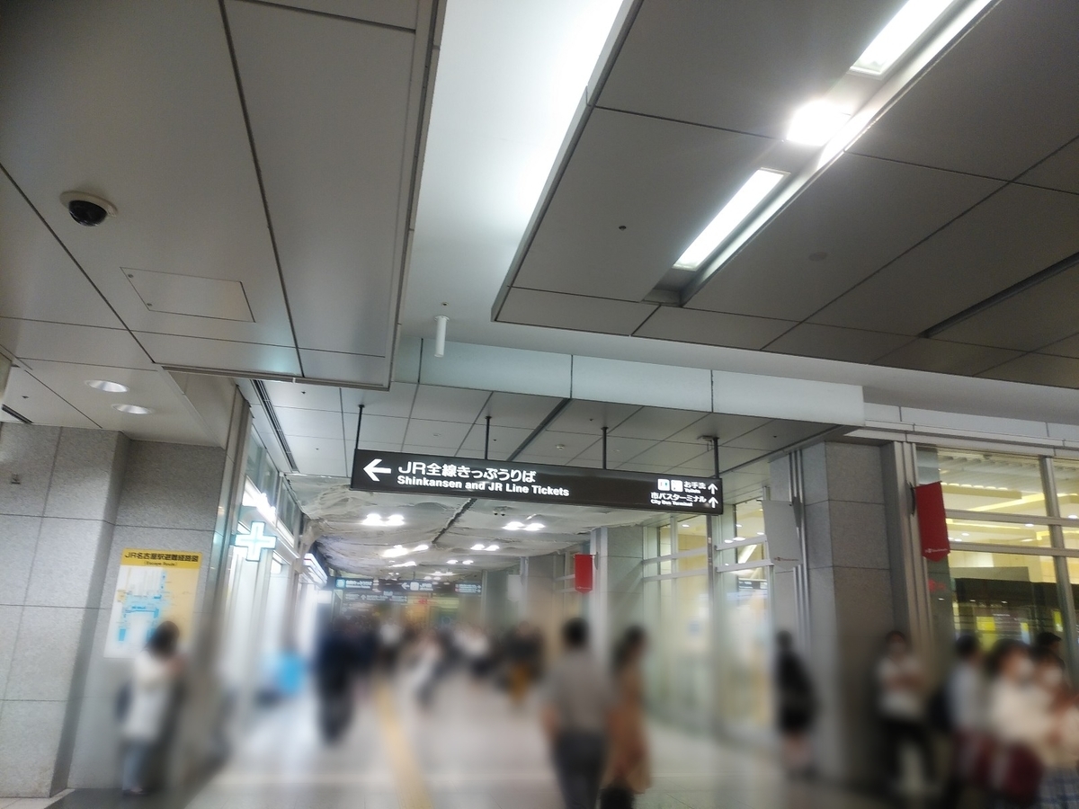 f:id:so-n-na-konna:20210604105507j:plain